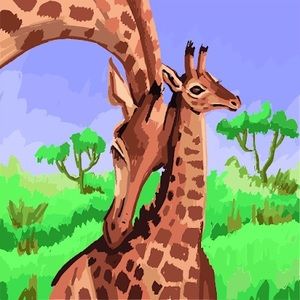 Meet your Posher, Gracie